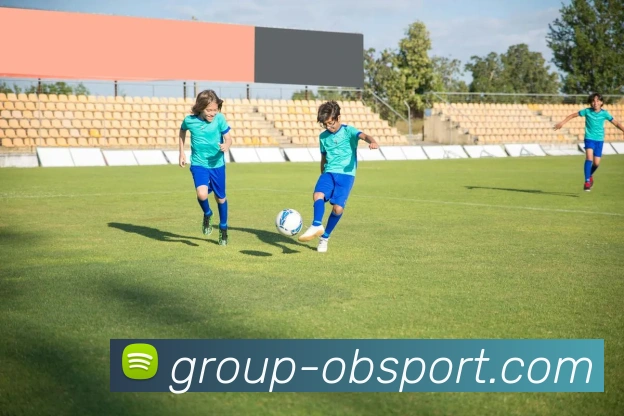 OB体育服务体系